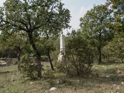 ...l� dove, quasi celata dalla folta vegetazione, spicca la bianca pietra del cippo commemorativo